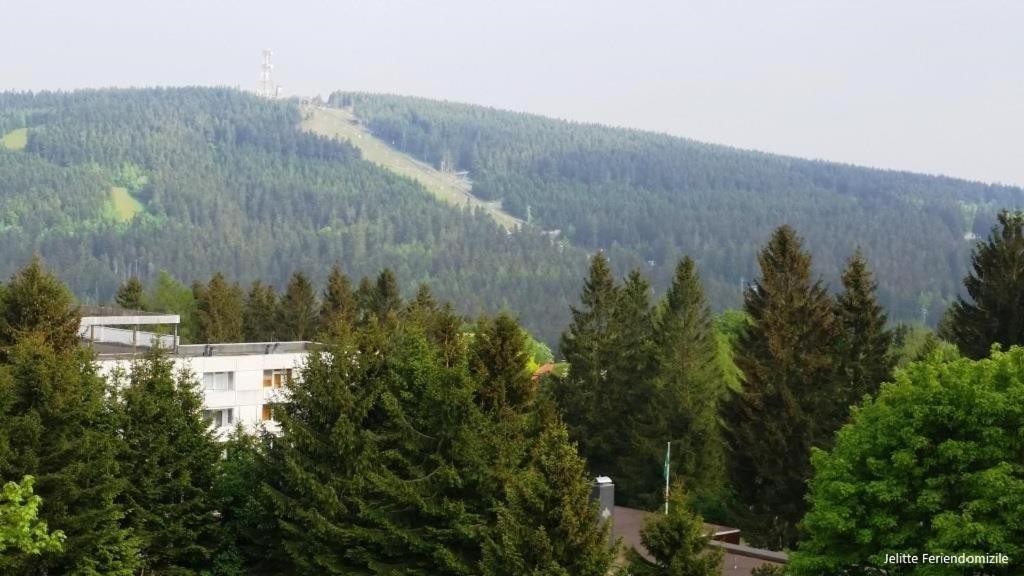 App 507 Bocksbergblick Im Ferienpark Hahnenklee Haus 1 Goslar Bagian luar foto