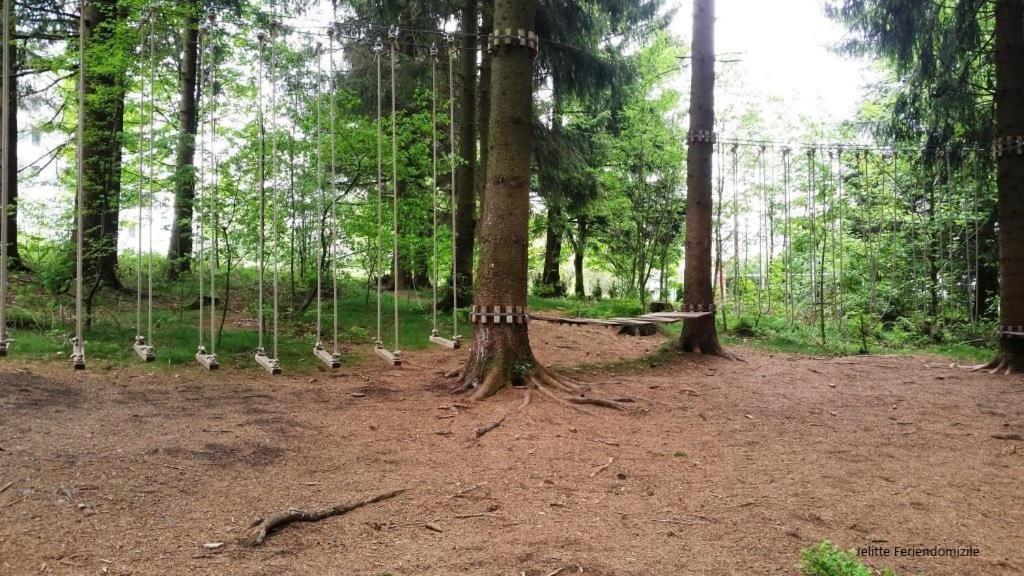 App 507 Bocksbergblick Im Ferienpark Hahnenklee Haus 1 Apartment Goslar Bagian luar foto