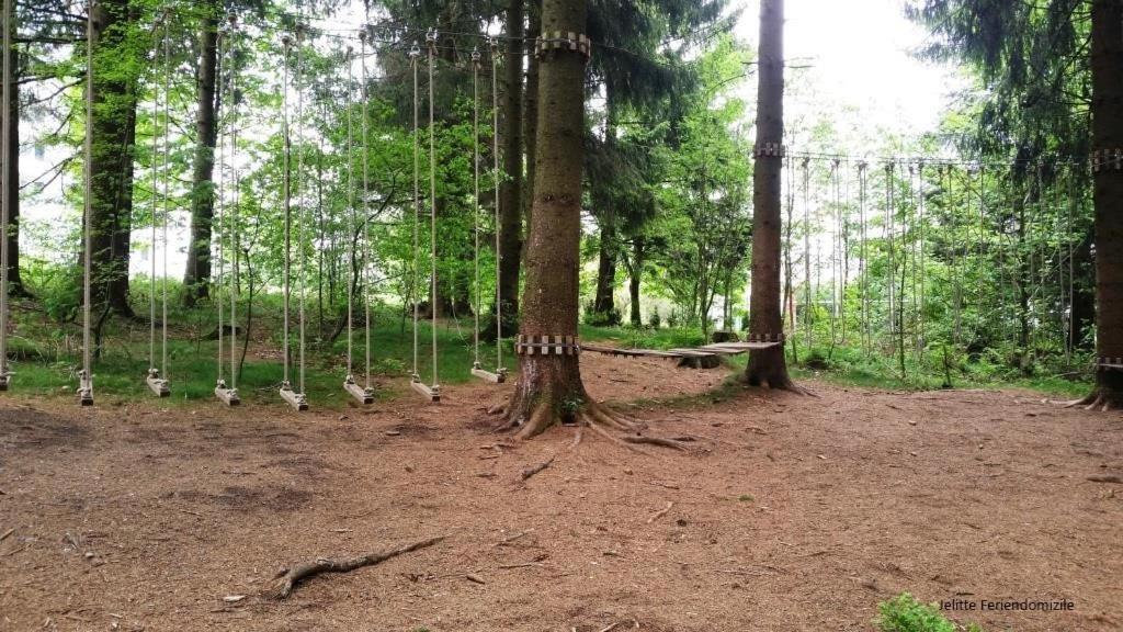App 507 Bocksbergblick Im Ferienpark Hahnenklee Haus 1 Goslar Bagian luar foto